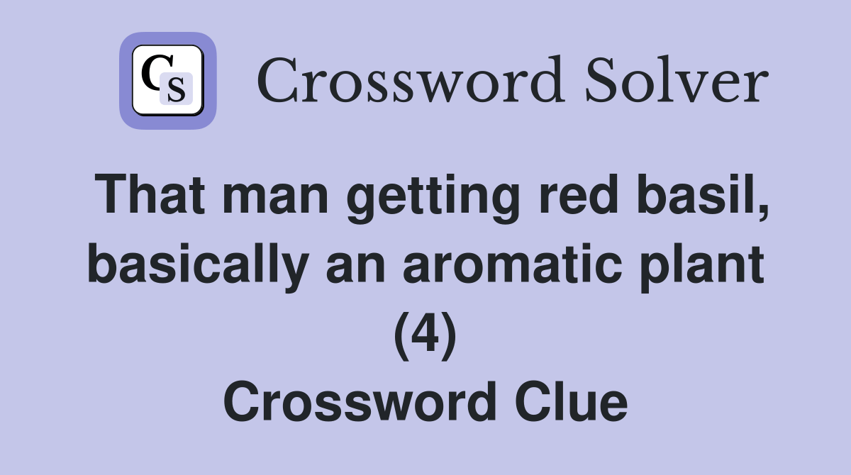 That man getting red basil, basically an aromatic plant (4) Crossword